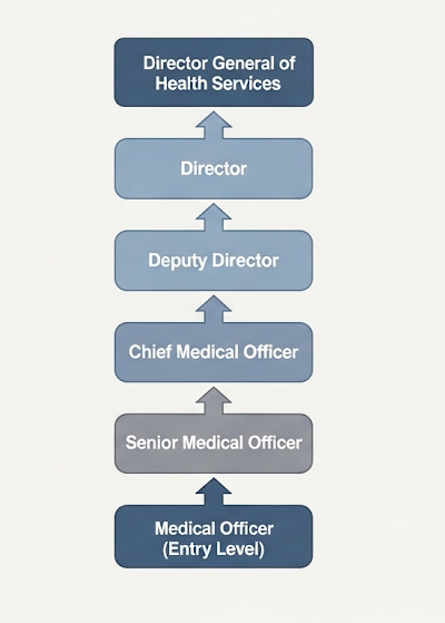 Bihar Ayush Medical Officer Recruitment 2025—Complete Application Process Inside 4 Career growth chart for Bihar Medical Officer
