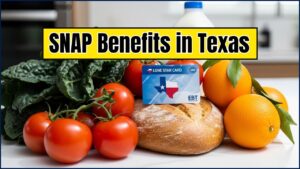 SNAP Benefits in Texas